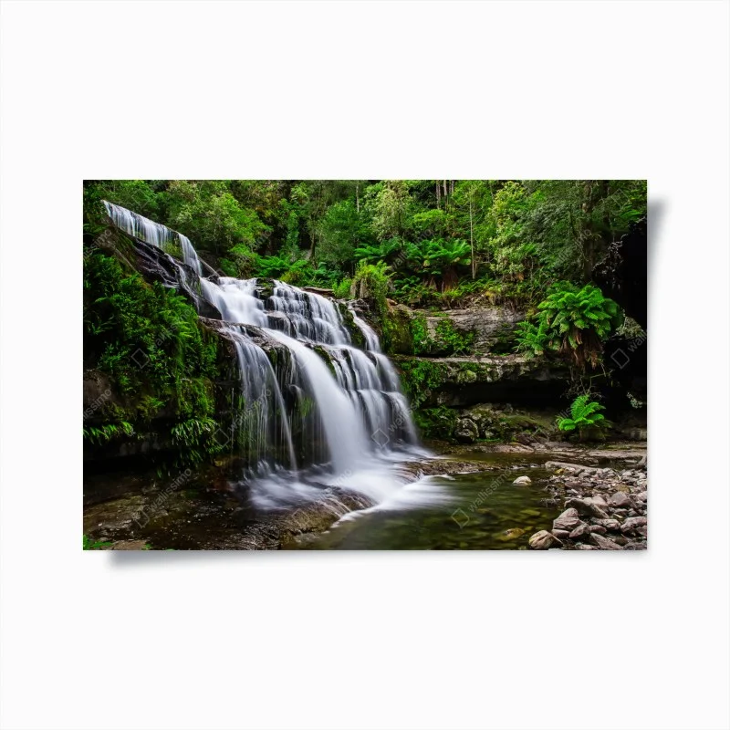 Poster Liffey Falls waterfall in lush Tasmanian rainforest