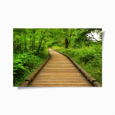 Poster serene forest boardwalk pathway • Wallissimo®