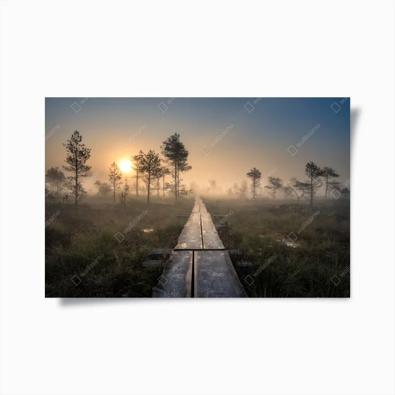 Poster misty sunrise over wooden boardwalk