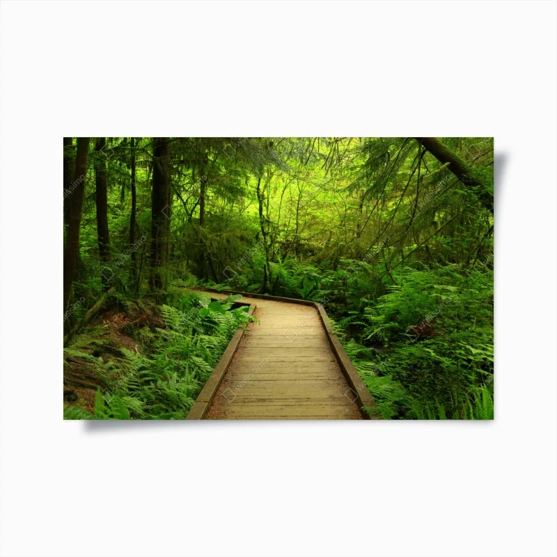 Poster serene green forest boardwalk ⁕ Wallissimo® Poster serene green forest boardwalk ⁕ Wallissimo®