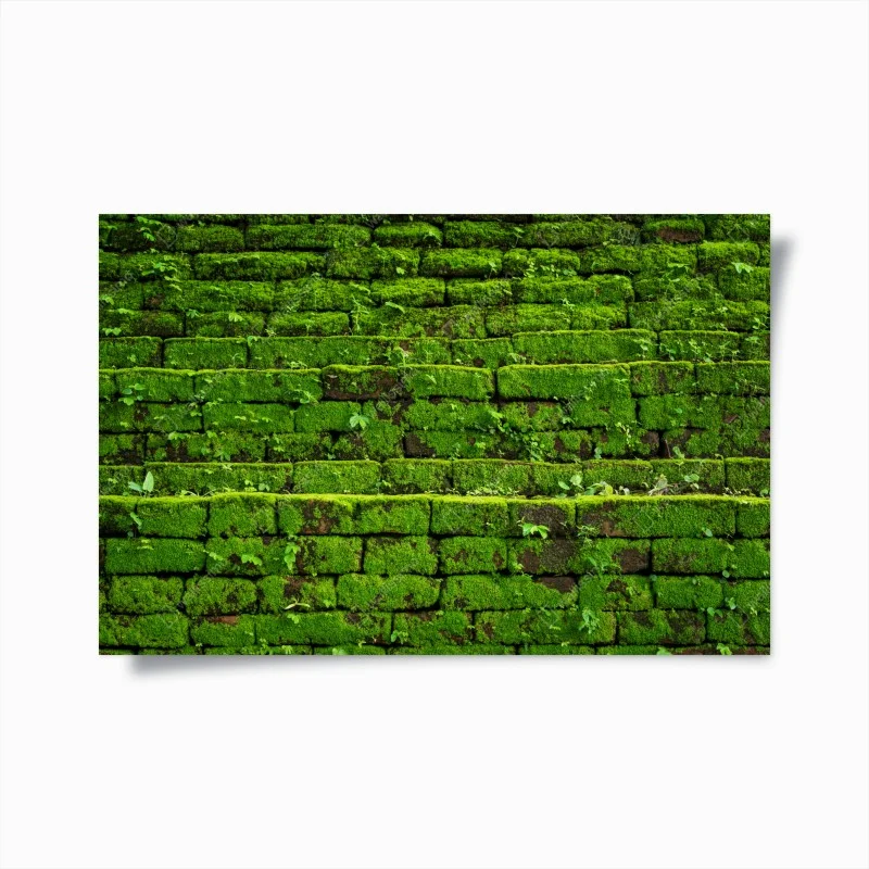 Poster lush moss-covered brick wall