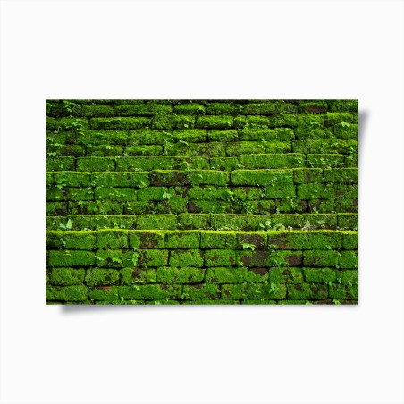 Poster lush moss-covered brick wall • Wallissimo®