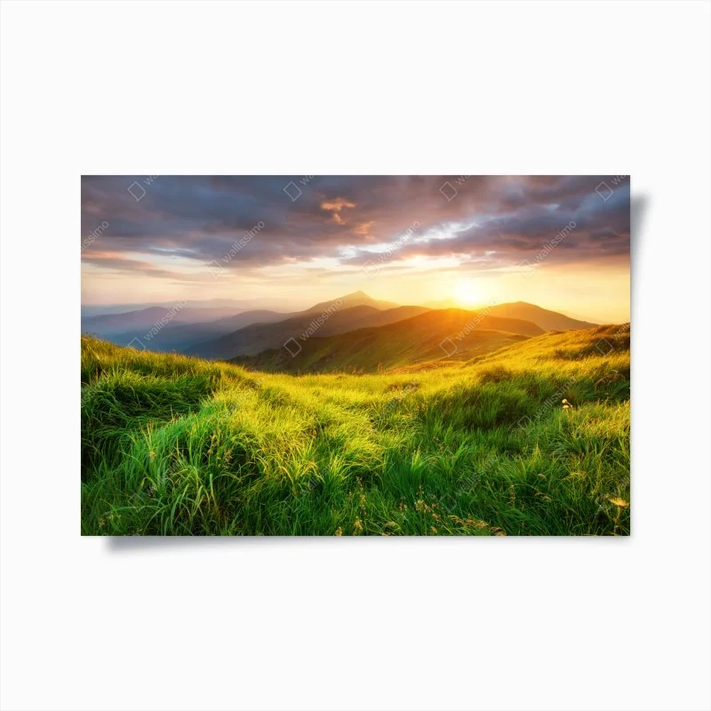 Poster sunlit mountain meadow at sunrise