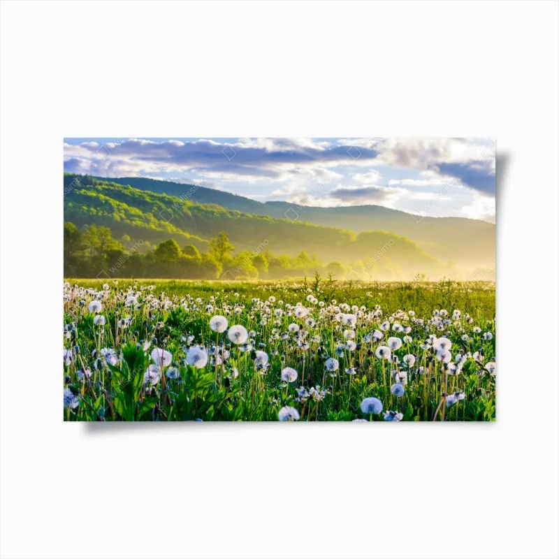 Poster misty dandelion meadow at sunrise