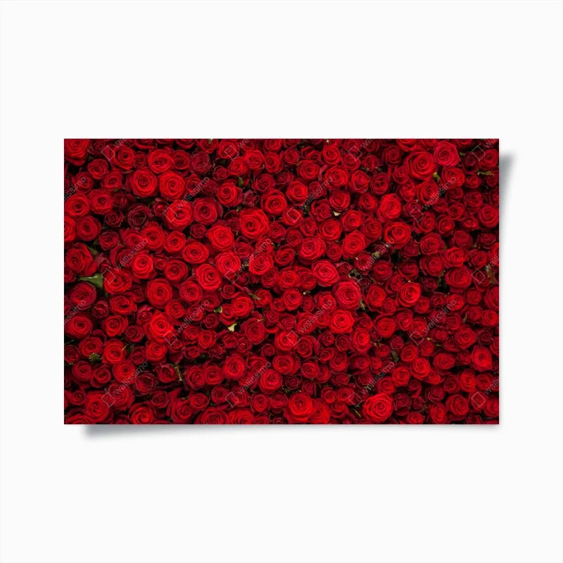 Poster endless wall of red roses