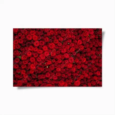 Poster endless wall of red roses • Wallissimo®