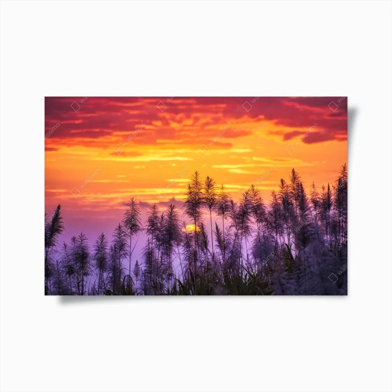 Poster golden sunset over wild grasses