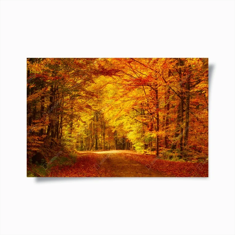 Poster golden autumn forest pathway