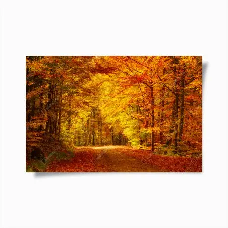 Poster golden autumn forest pathway • Wallissimo®