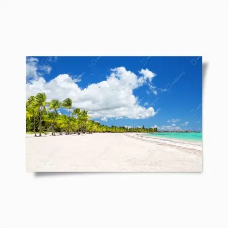 Poster tropical beach paradise in Punta Cana • Wallissimo®