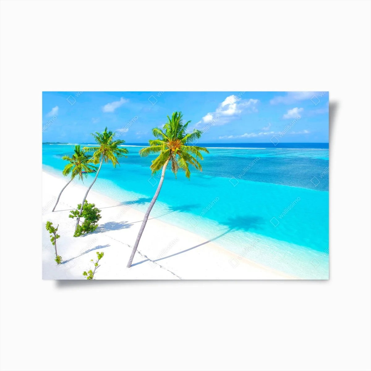 Poster tropical turquoise beach with palm trees • Wallissimo® Poster tropical turquoise beach with palm trees • Wallissimo®