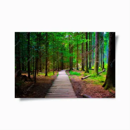 Poster serene forest boardwalk path • Wallissimo®