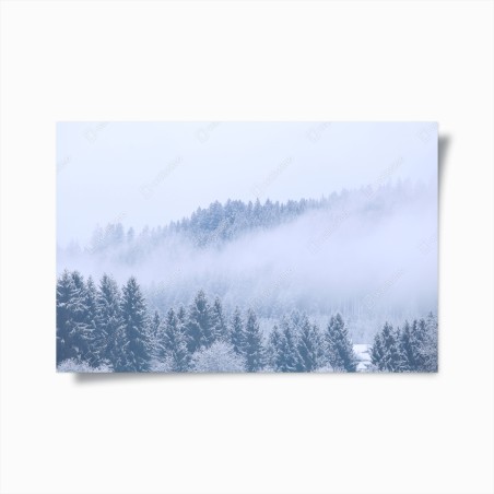 Poster winter mist over coniferous forest • Wallissimo®