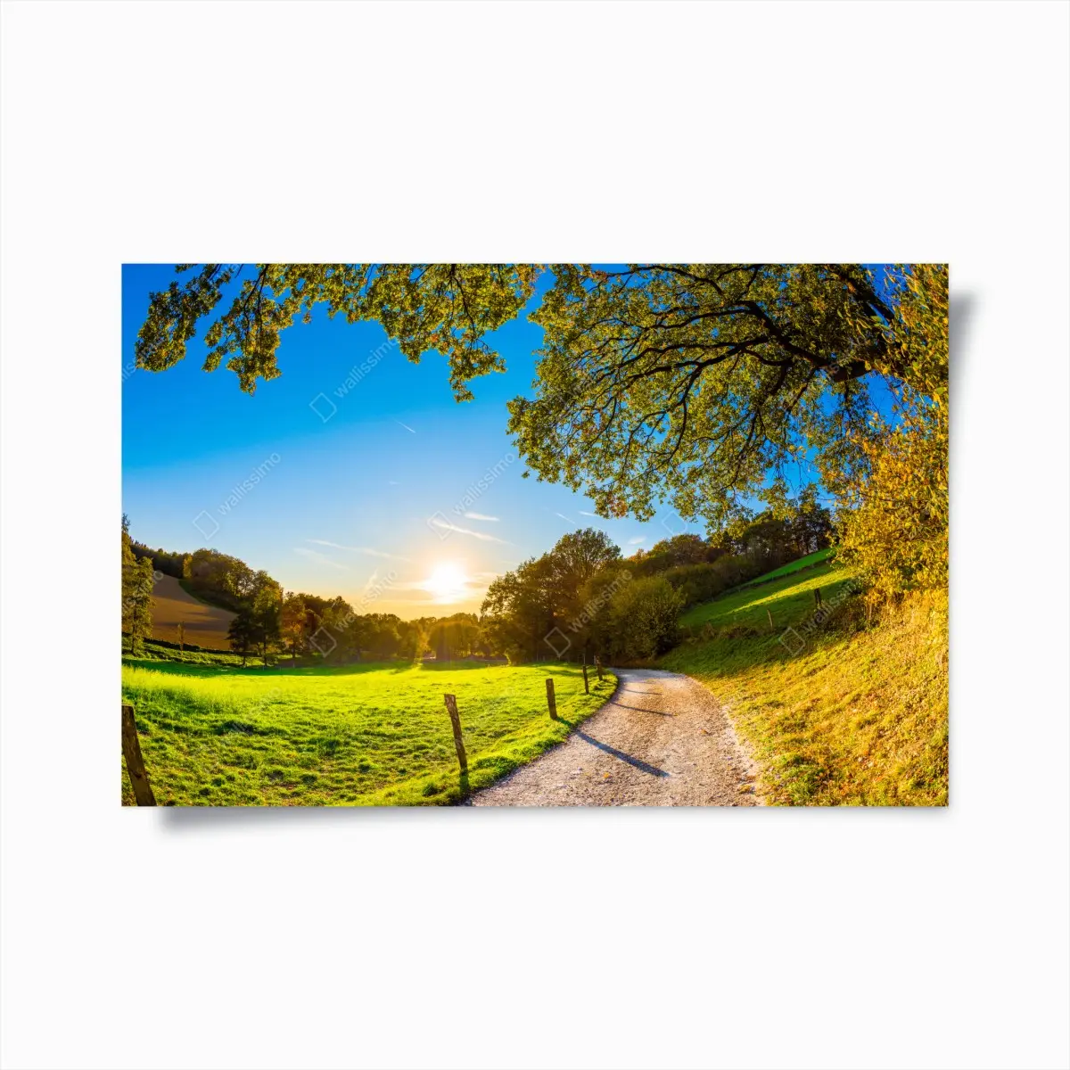Poster sunlit meadow country road at sunset • Wallissimo® Poster sunlit meadow country road at sunset • Wallissimo®