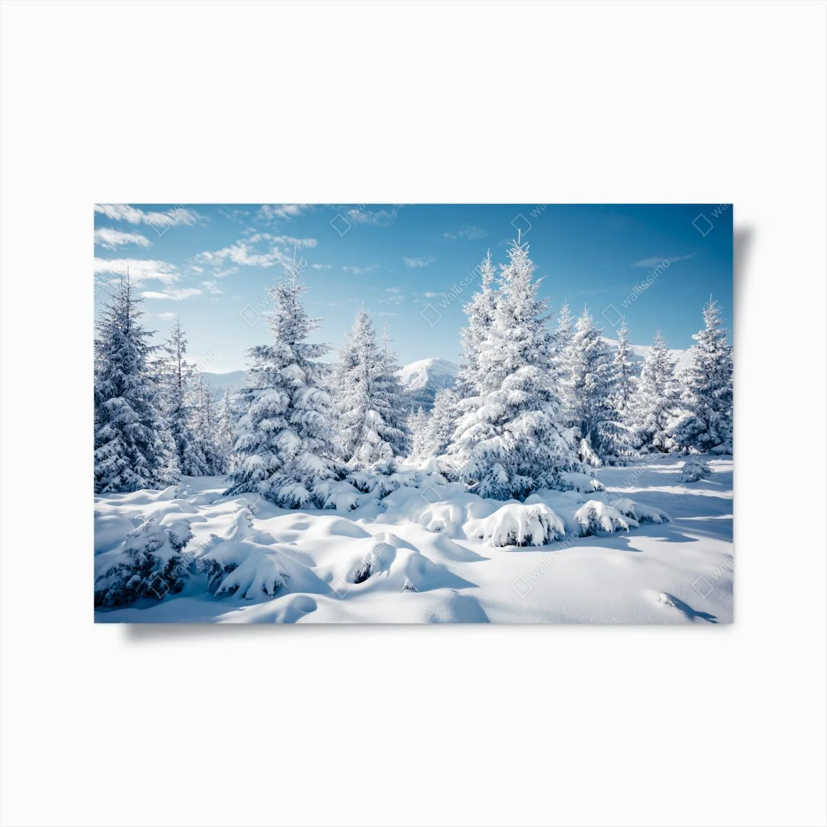 Poster winter calm in the Carpathian spruces ⁕ Wallissimo® Poster winter calm in the Carpathian spruces ⁕ Wallissimo®