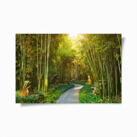 Poster serene bamboo forest pathway • Wallissimo®