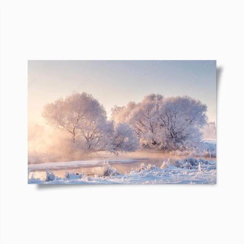 Poster frosted trees at sunrise