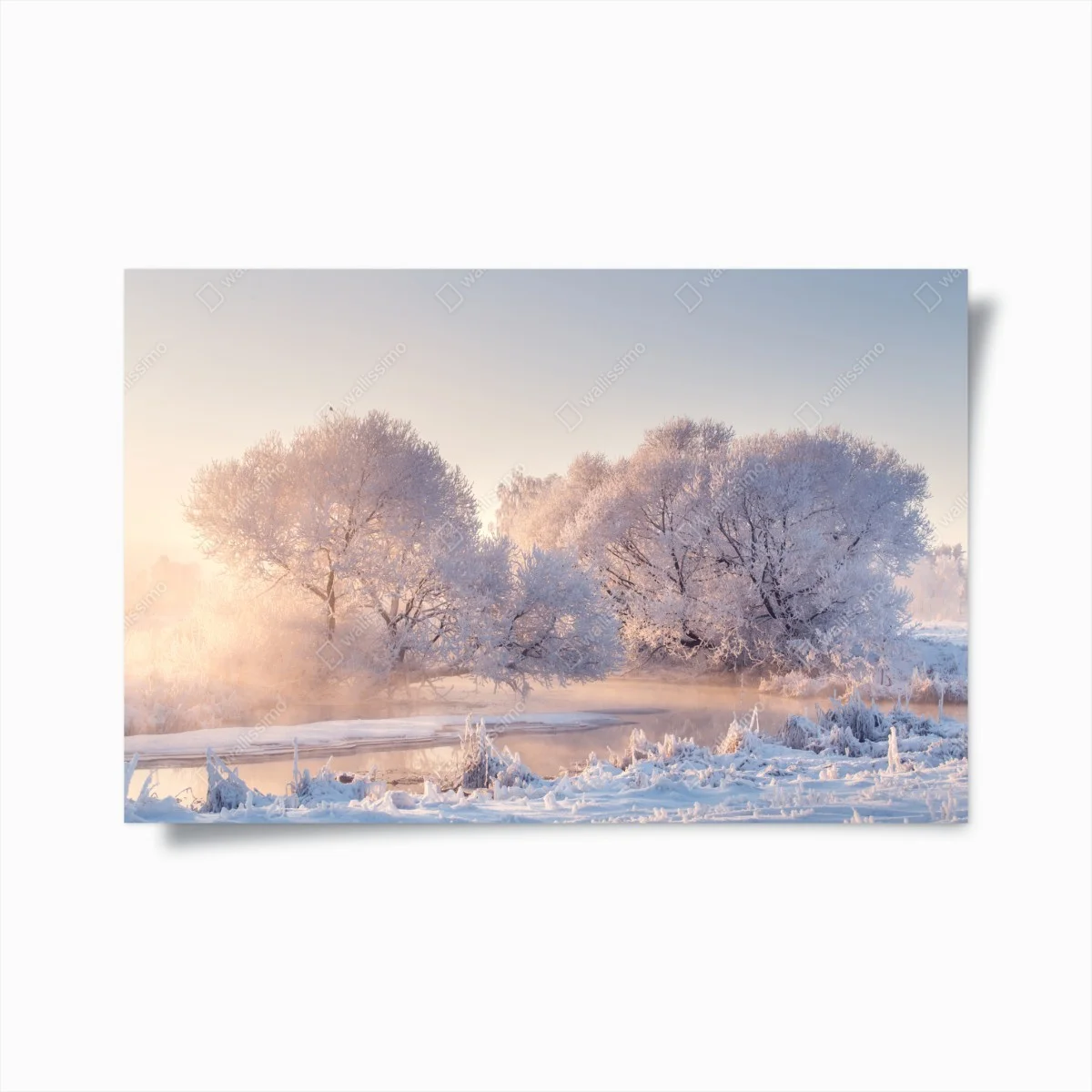 Poster frosted trees at sunrise • Wallissimo® Poster frosted trees at sunrise • Wallissimo®