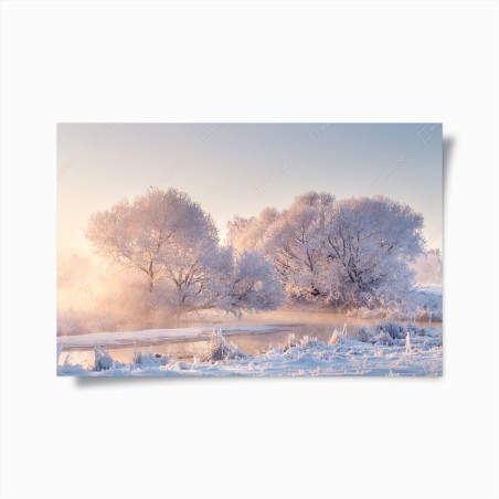 Poster frosted trees at sunrise • Wallissimo®