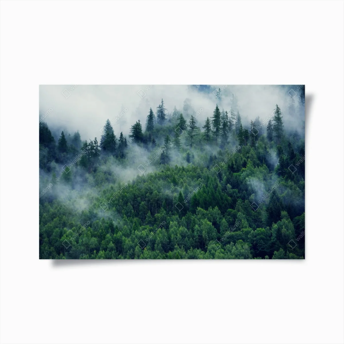 Poster misty green forest landscape ⁕ Wallissimo® Poster misty green forest landscape ⁕ Wallissimo®