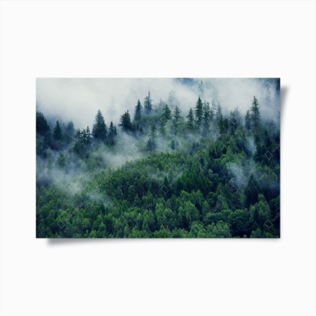Poster misty green forest landscape • Wallissimo®