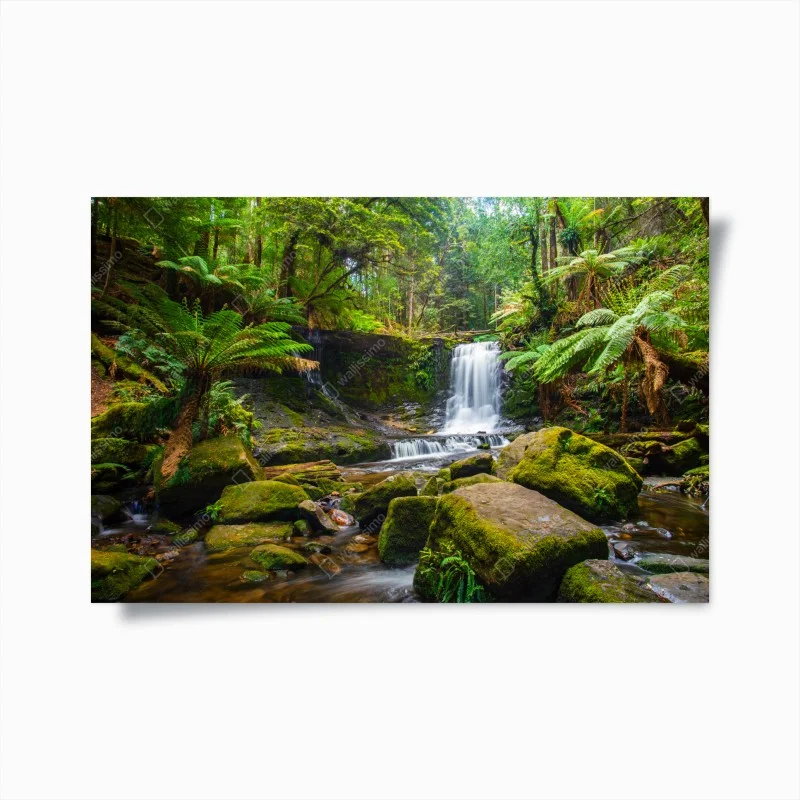 Poster lush forest waterfall retreat