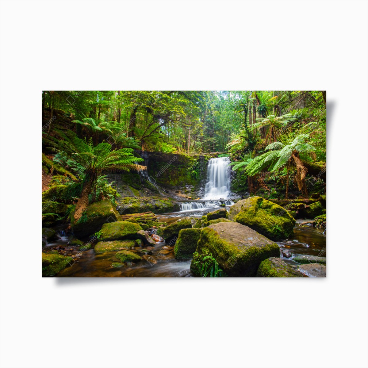Poster lush forest waterfall retreat • Wallissimo® Poster lush forest waterfall retreat • Wallissimo®