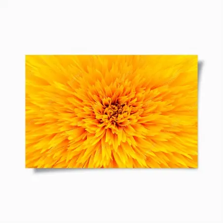 Poster radiant sunflower close-up • Wallissimo®