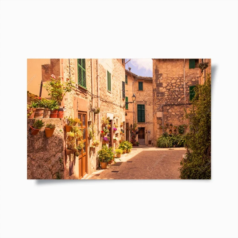 Poster sunlit mediterranean alley with potted plants