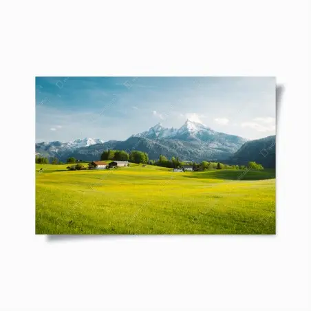 Poster alpine meadow beneath snowcapped peaks • Wallissimo®