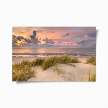 Poster sunset over Zeeland dunes • Wallissimo®