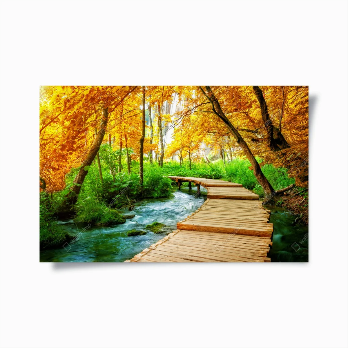 Poster golden boardwalk through forest at Plitvice Lakes • Wallissimo® Poster golden boardwalk through forest at Plitvice Lakes • Wallissimo®
