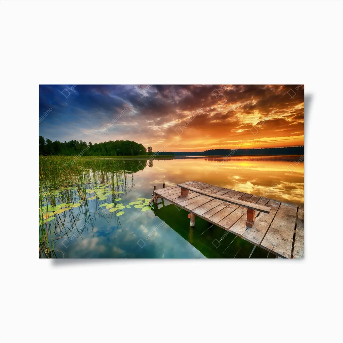 Poster golden sunrise over tranquil lake • Wallissimo® Poster golden sunrise over tranquil lake • Wallissimo®