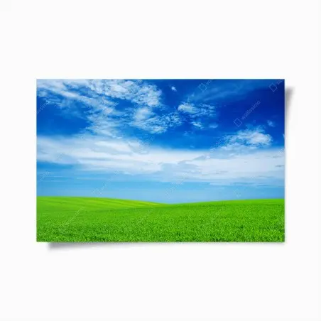 Poster rolling green meadow under a bright blue sky • Wallissimo®
