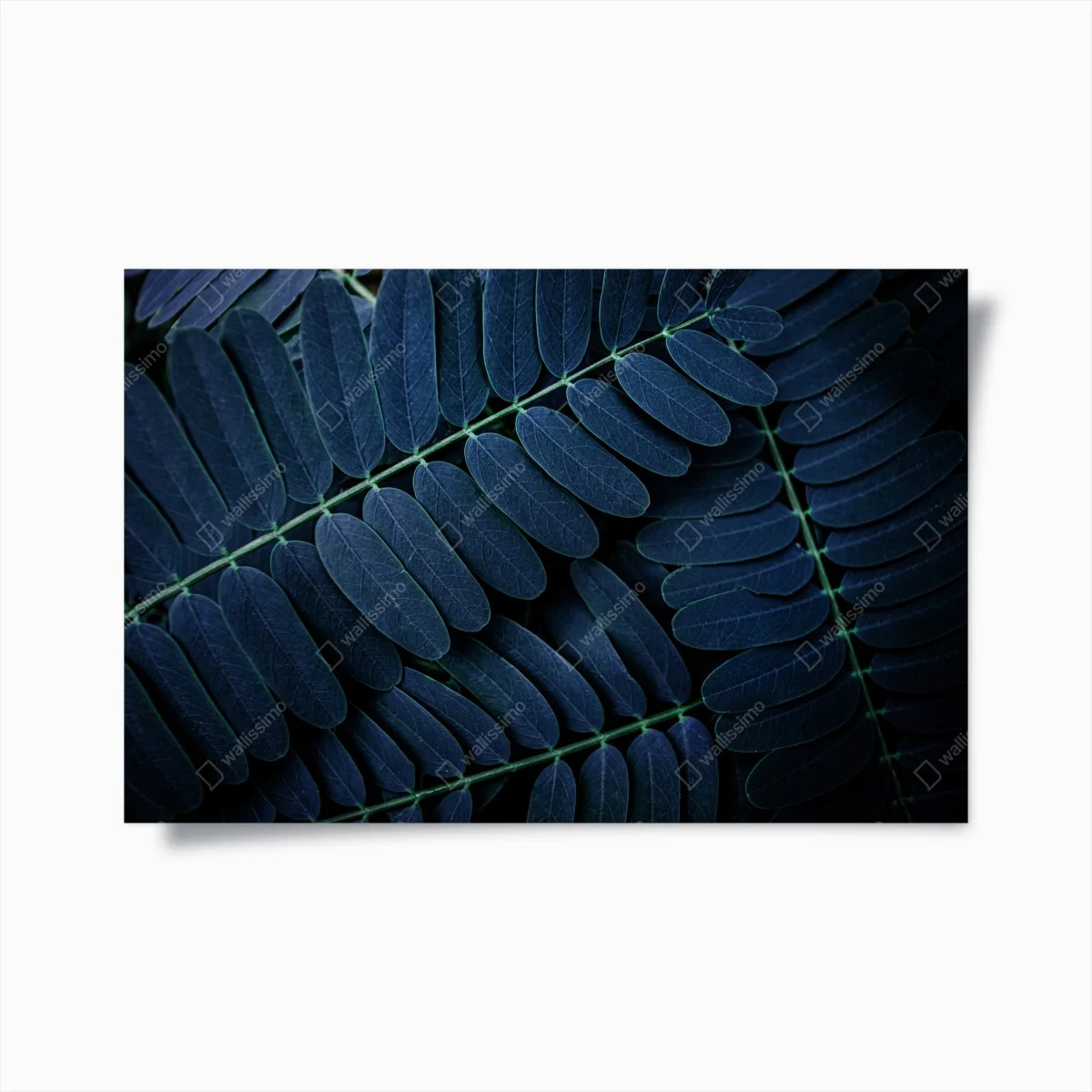 Poster blue leaf pattern ⁕ Wallissimo® Poster blue leaf pattern ⁕ Wallissimo®