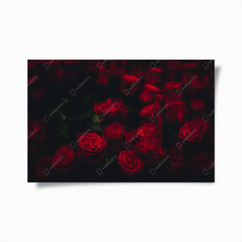 Poster moody red rose bouquet
