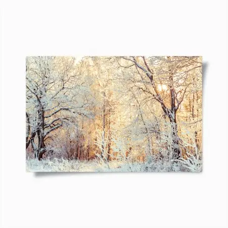 Poster winter sunlight in snowy forest • Wallissimo®