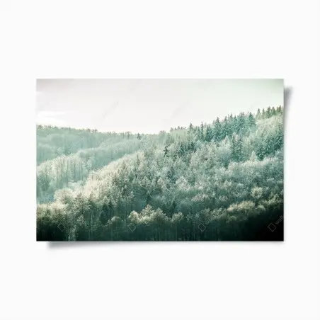 Poster misty frosted forest landscape • Wallissimo®