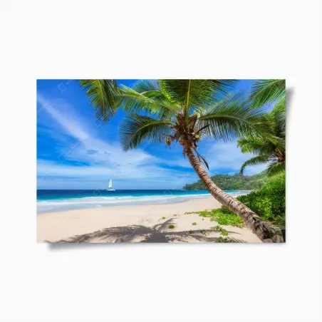 Poster tropical palm beach seascape • Wallissimo®