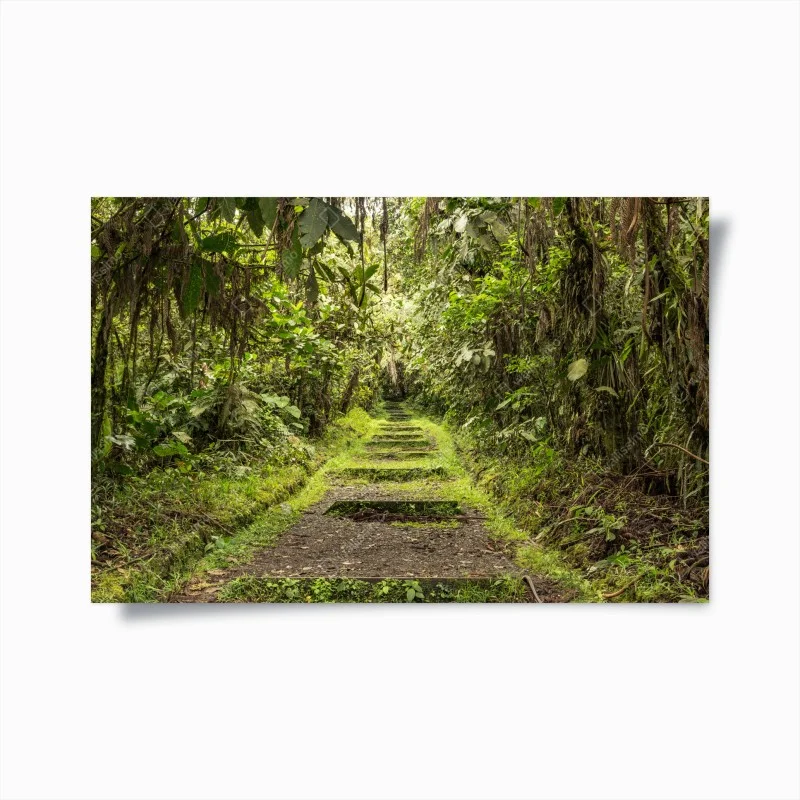 Poster lush jungle pathway through verdant rainforest