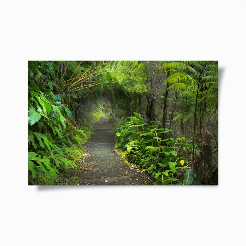 Poster lush rainforest trail in Kilauea Iki, Hawaii