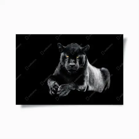 Poster black panther portrait on dark background • Wallissimo®