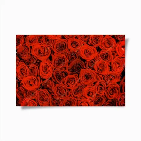 Poster lush red rose bouquet • Wallissimo®