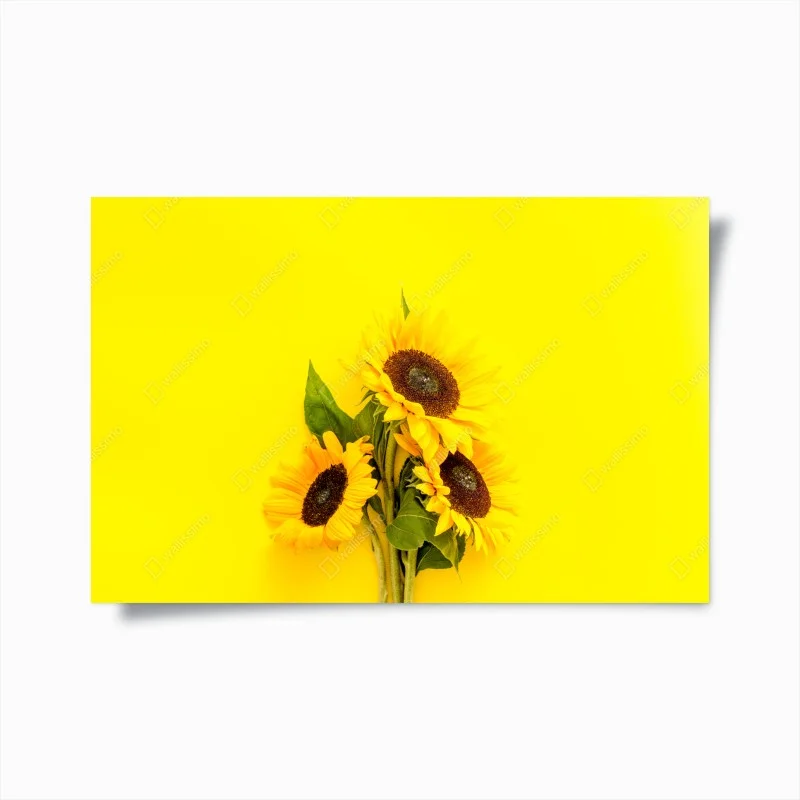 Poster bright sunflower bouquet on yellow background