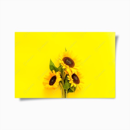Poster bright sunflower bouquet on yellow background • Wallissimo®