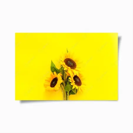 Poster bright sunflower bouquet on yellow background • Wallissimo®