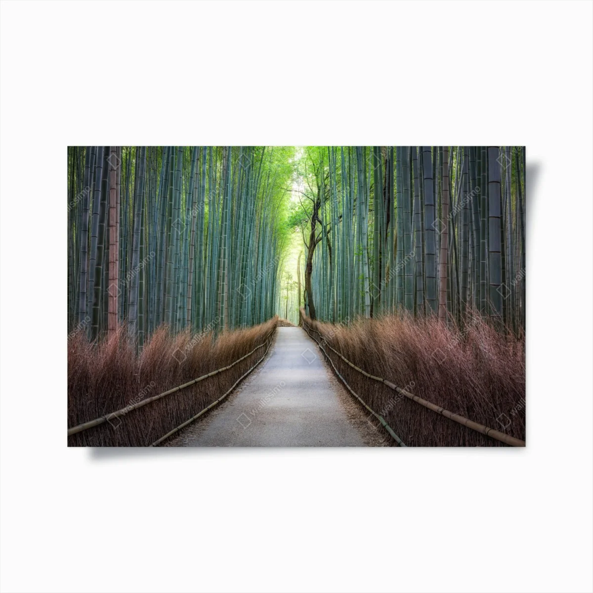 Poster serene bamboo forest pathway • Wallissimo® Poster serene bamboo forest pathway • Wallissimo®