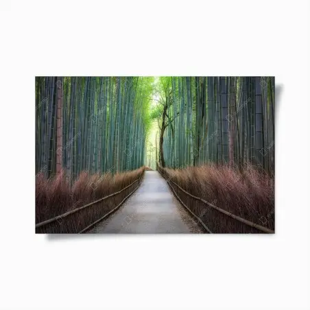 Poster serene bamboo forest pathway • Wallissimo®