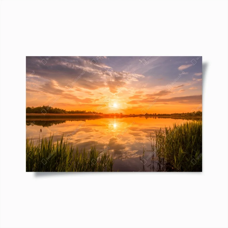 Poster golden sunset over tranquil lake