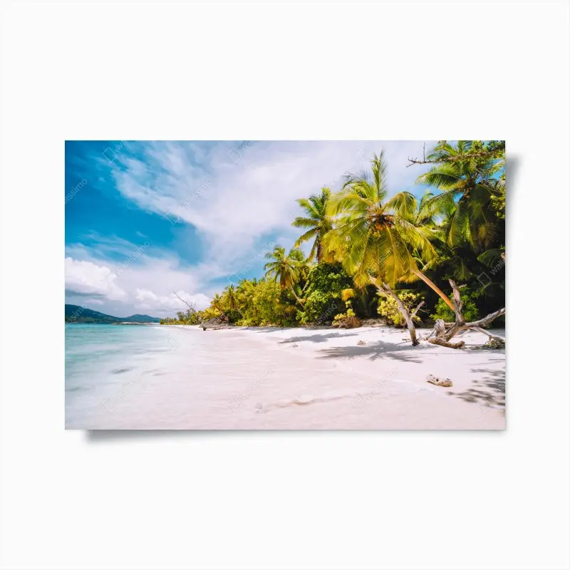 Poster tropical palm beach paradise
